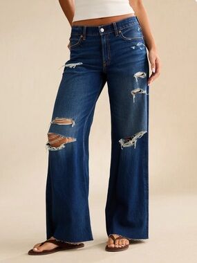 AE Low-Rise Baggy Ultra-Wide Leg Jean